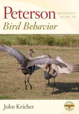 Peterson Reference Guide to Bird Behavior | John Kricher | Englisch | Buch