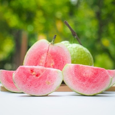 Red Crystal Guava Seedss (Psidium guajava) for Planting