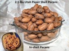 2.5 lbs Pecans In-Shell 2026 Crop Utah Grown Paper Shell Pecan Easy Cracking Nut