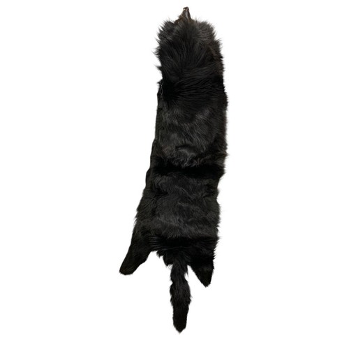 1950s Head to Tail Mink Stole Face Dark Brown Pocket Closure 48 Inch