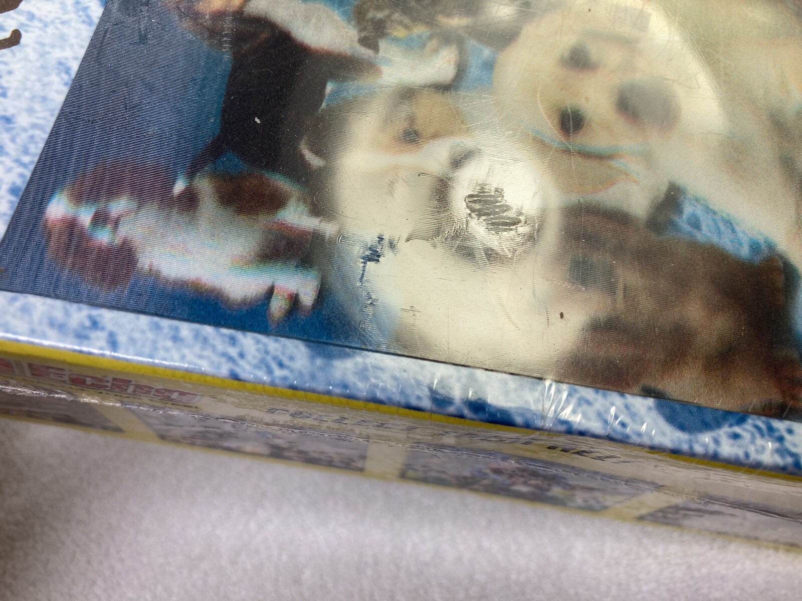 Picture 6 of 10