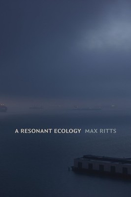 RESONANT ECOLOGY by RITTS, MAX Paperback Self Help Business