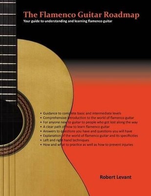 The Flamenco Guitar Roadmap: Your guide to understanding and learning flamenco g