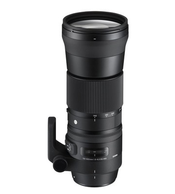 SIGMA 150-600mm F5-6.3 DG CANON EFマウント Sigma Canon EF 150-600mm F/6.3 Telephoto zoom lens for sale online