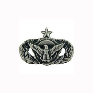 Death Wings Military Pewter 2 Lapel//Hat Pin