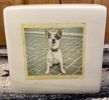 Rae Dunn Paperweight Polaroid Dog I Need Coffee Block