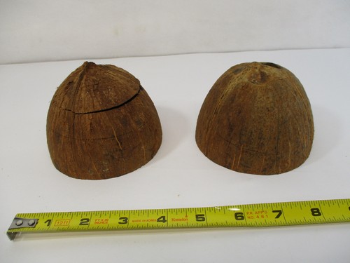 Monty Python Holy Grail COCONUT SHELL Horse Hoof Sounding Musical Instrument VG