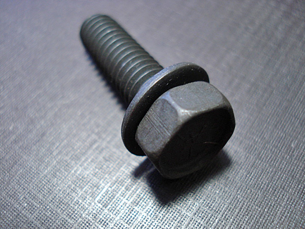 Bumper Bolts Stainless Capped Round Head Front Rear GM GMC