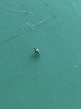 Peseux  Caliber 120 121,120a,129a  Balance Staff  New Unused Stock Free Postage.