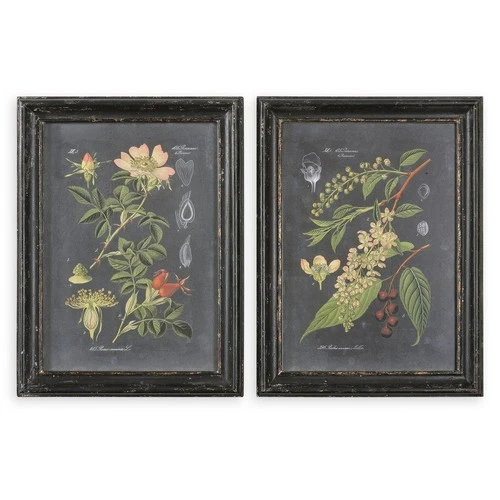 UTTERMOST 56053 MIDNIGHT BOTANICALS AGED WOOD BLACK FRAMED ART PRINTS SET OF 2 - Picture 1 of 4