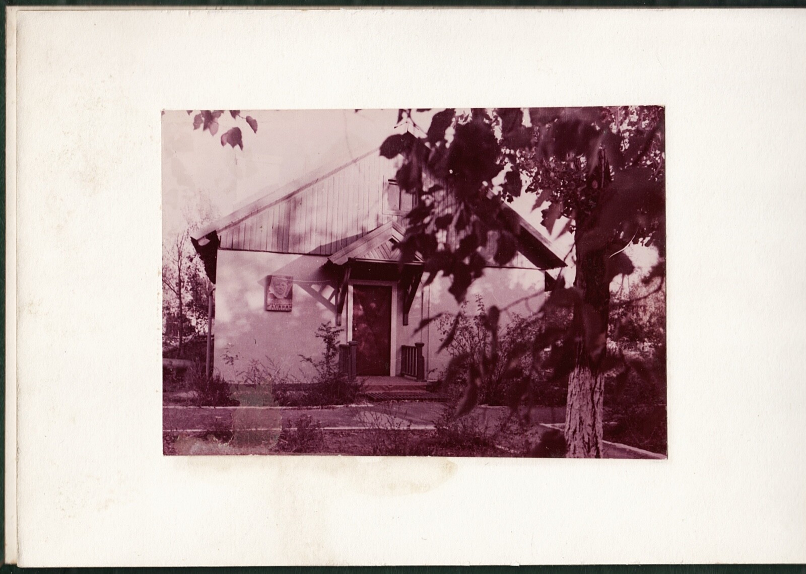 Picture 5 of 14