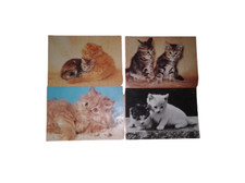 4 Stück Ansichtskarten Postkarten Katzen