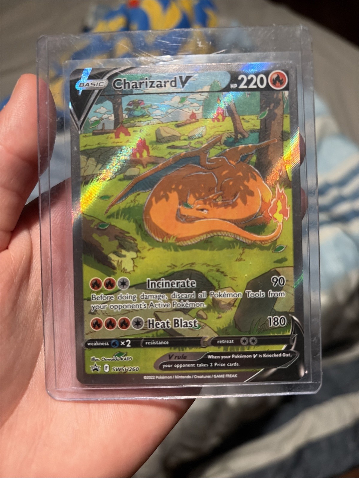 Charizard V SWSH260 SWSH: Sword & Shield Promo Cards Holo