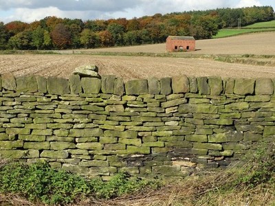 Foto A2 alte Steinmauer und Scheune südlich von Abraham Spring Woods West Bret um 2015