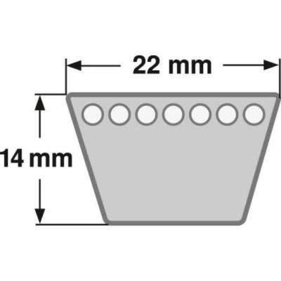 Keilriemen (C 118) C 22 x 3000 Li, 3058 Lw, Dunlop White Flash | Industrie Store Keilriemen (C 118) C 22 x 3000 Li, 3058 Lw, Dunlop White Flash | Industrie Store