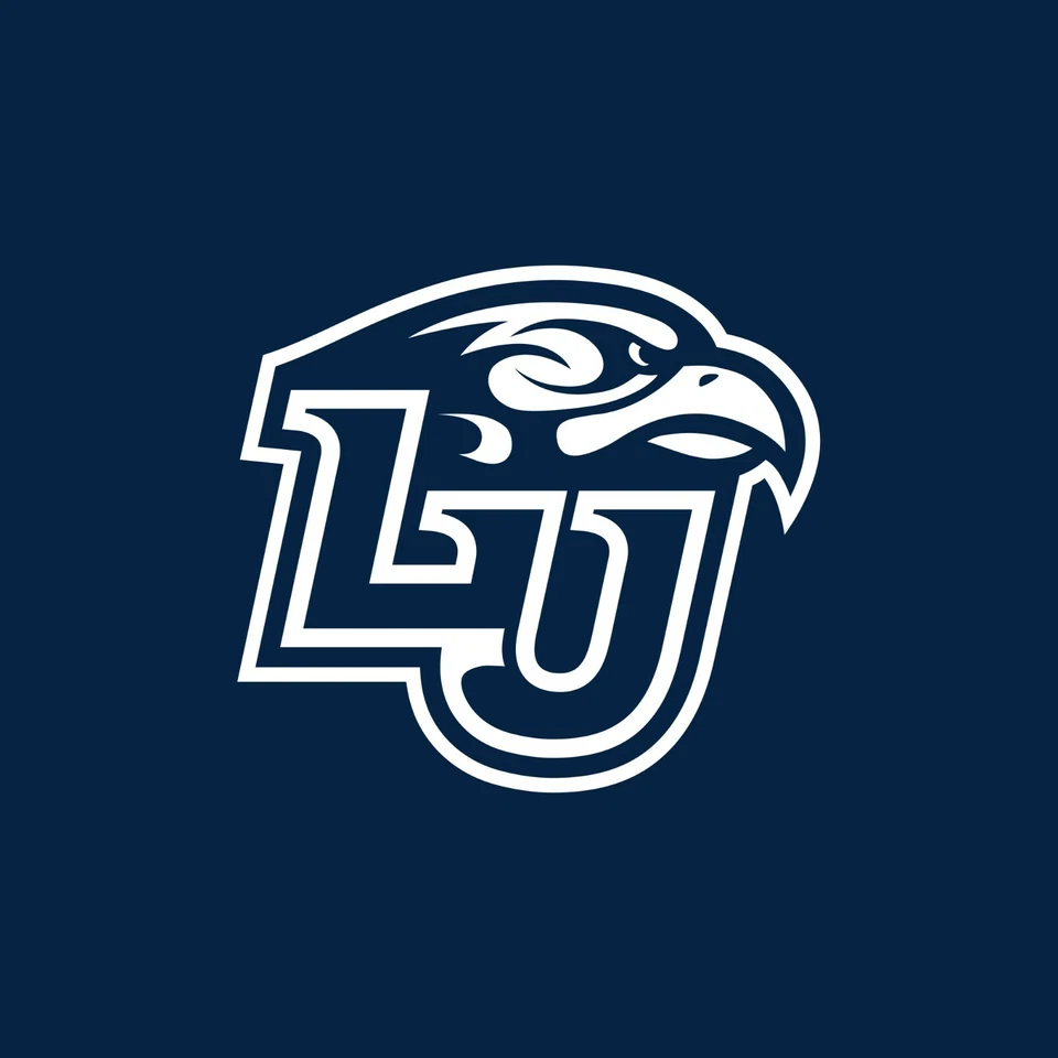 Liberty Flames Doble Manga Estampado Manga Larga - Azul Marino Foto 2 de 4