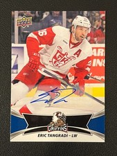 2016-17 Upper Deck AHL Hockey Cards 8