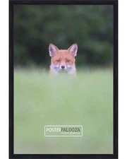 Panoramic Classic Modern Black Frame - UV Acrylic, Backing, Hanging Hardware