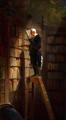 The bookworm by Carl spitzweg Oil painting Giclee art Printed on canvas L3651