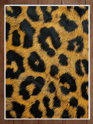 Leopard Print Pattern Poster 18x24in | eBay