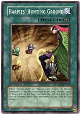 Harpies' Hunting Ground - RDS-EN038 - Common - 1st Edition - YuGiOh
