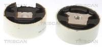 Triscan Lagerung, Motor Hinten, Karosserieseitig, Oben, Unten U.A. FüR Audi