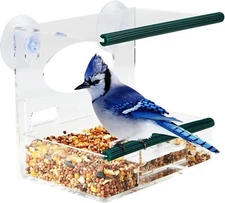 Window Bird Feeder for Outside with Strong Suction Cups & Removable Tray