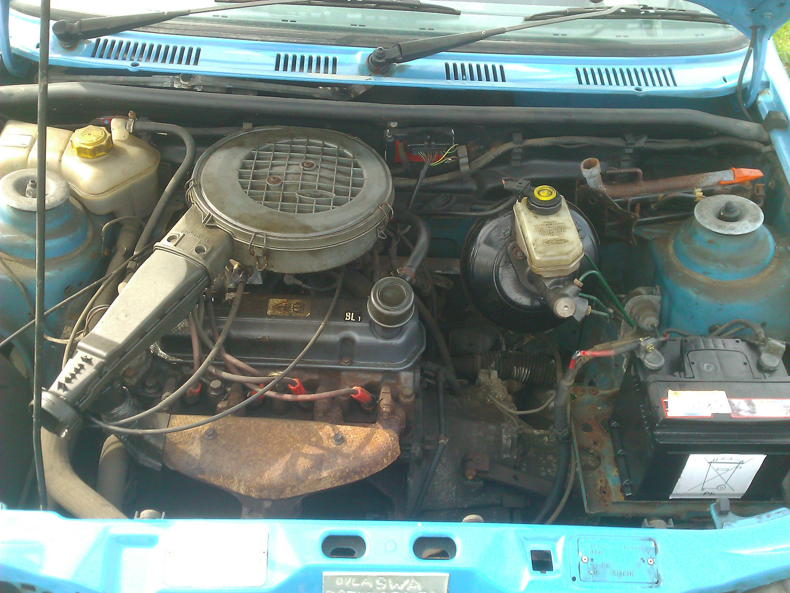 Picture 12 of 12
