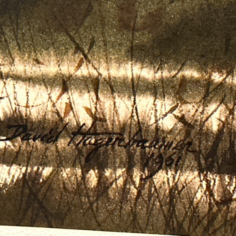 Picture 3 of 12
