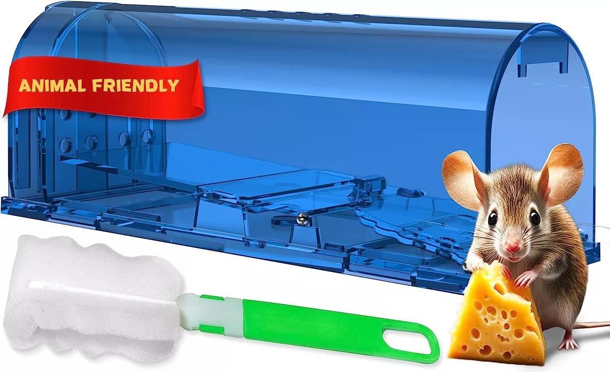 Humane Mouse Trap Mouse Catcher Easy to Set for House Indoor Utopia Home