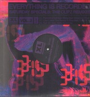 Everything Is Record - Remixes - Vinyl Record 12 Record - E3447Z