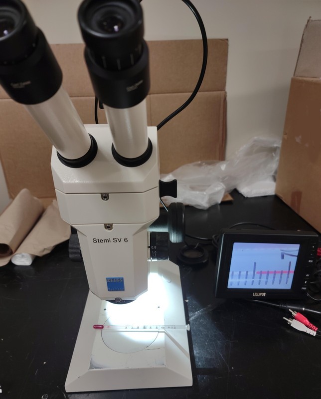 Zeiss Stemi SV 6 Microscope 0.63 & 1x, trinocular; 0.63TV, camera & monitor