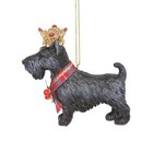 Gisela Graham Dog with Crown Christmas Ornament