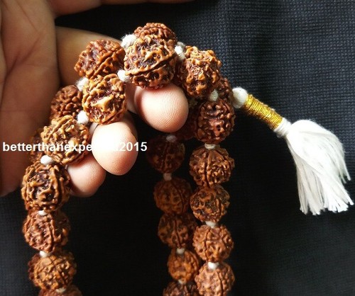 4 Mukhi Rudraksha Mala / Four Face Rudraksh Mala 16-18 MM - Nepal - 54 cuentas ~Lab - Imagen 3 de 3