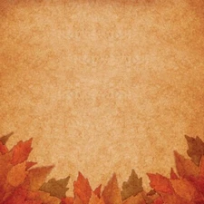 Autumn Leaves Border,  scrapbook paper, Scrapbook Customs 24763