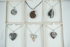 pendente collana con FOSSILE ciondolo ammonite dente squalo ortocheras paleo