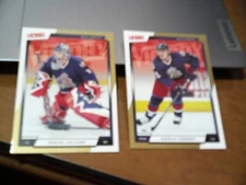 2 dif 2006-07 UPPER DECK VICTORY GOLD CARDS- JACKETS- PASCAL LECLAIRE & ZHERDEV