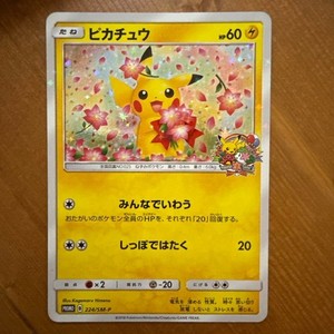 ピカチュウ 224/SM-P Pikachu 224 Sm P | eBay