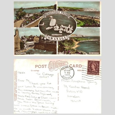 Alte Postkarte - Schwanenhaus Multi-View Mühlenteich Die zwei Buchten ECHTFOTO VERSCHICKT