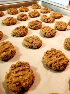 hill's science diet soft savories with peanut butter & banana dog treats