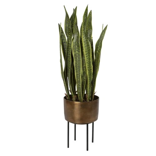 Uttermost 60185 Fasita 15"W x 44" Tall Faux Snake Plant in Modern - Black - Picture 3 of 5
