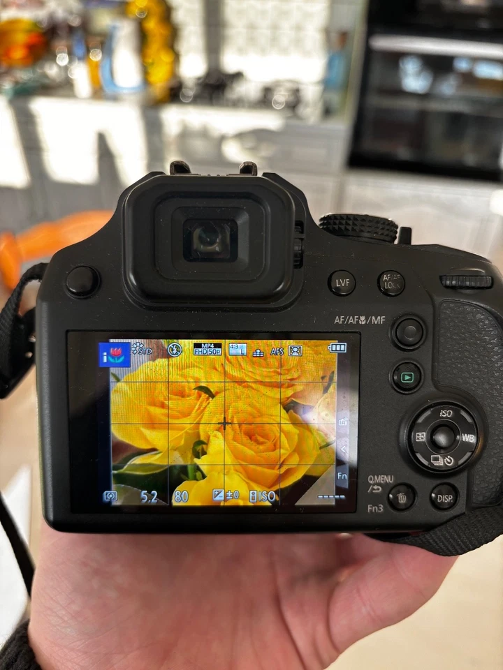 Panasonic Lumix DC-FZ82, photo 4 sur 5