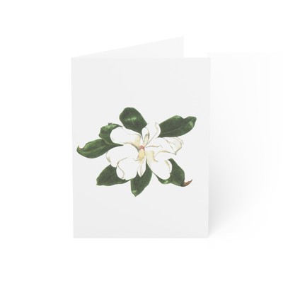 Sybil Rogers Artist Magnolia Reproduction Greeting Cards (10 and 50pcs)