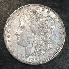 1891 Morgan Dollar - High Quality Scans #Q691