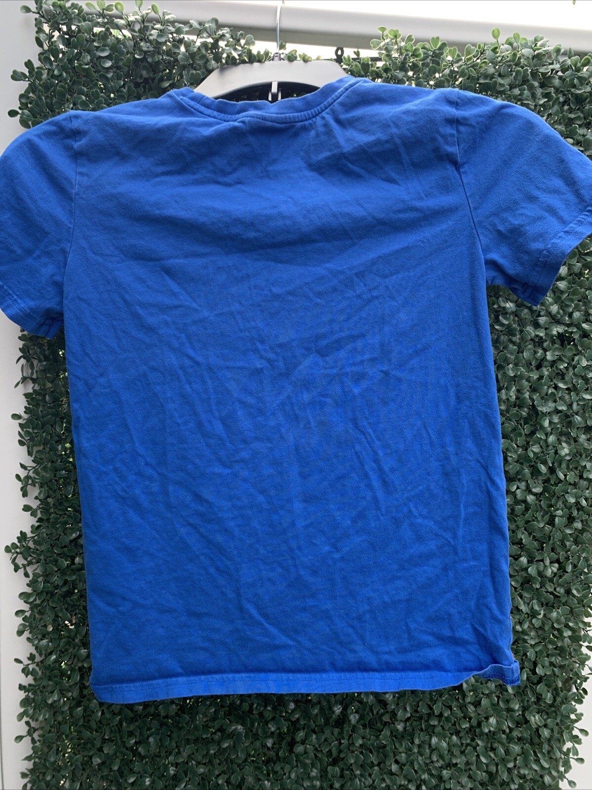 Picture 4 of 4