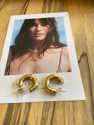NEW~$52 Gorgeous James Michelle Confetti Tube Hoops