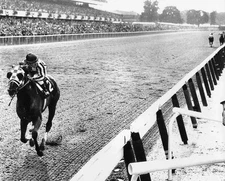 Secretariat 1973 Belmont Triple Crown Winner Horse Racing 4x6 Picture Photo Pri
