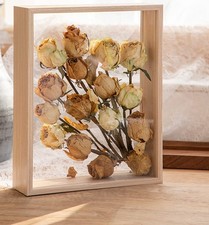 Dried Flower Display Frame Wooden MDF Clear Acrylic Floating Shadow Box