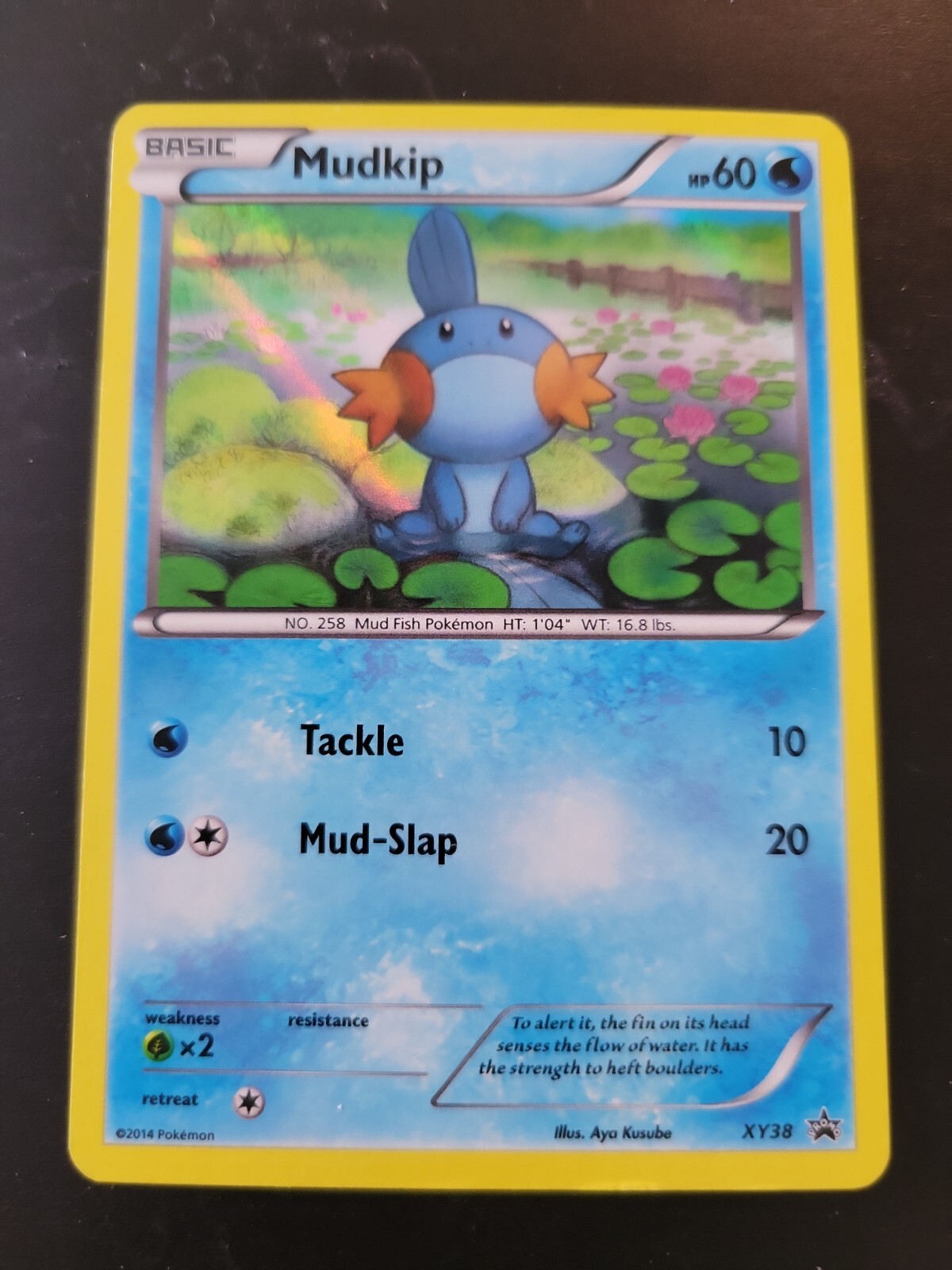 Pokemon Card Black Star Promo - 2014 Mudkip XY38