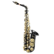 Professional Golden Alto Saxophone Brass Engraved with Case Accessories